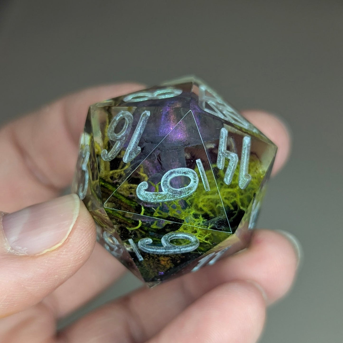 Faewild Forest - 35mm Chonk D20