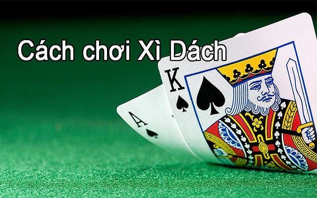 Chia sẻ về cách chơi đánh Xì dách