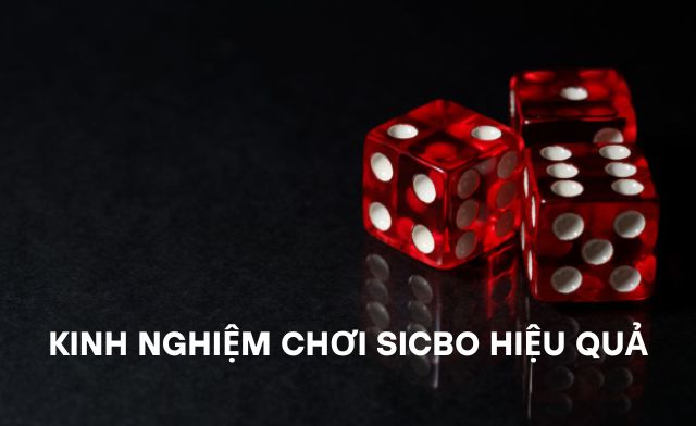 Chi tiết kinh nghiệm chơi sicbo hiệu quả nhất cho người chơi mới