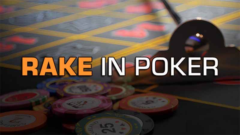 Rake Poker Là Gì? Hiểu Đúng Để Không Bị Mất Tiền Oan Khi Chơi