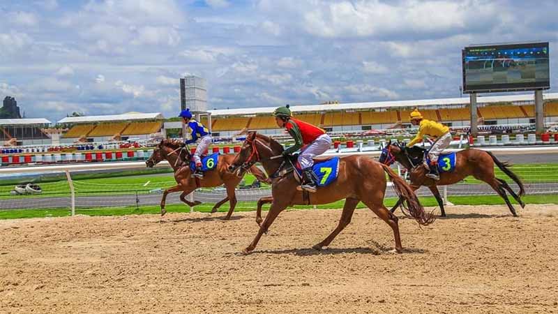 Giải mã thuật ngữ đua ngựa phổ biến trong cá cược quốc tế