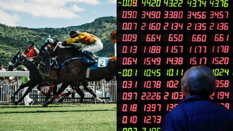 Giải mã thuật ngữ đua ngựa phổ biến trong cá cược quốc tế