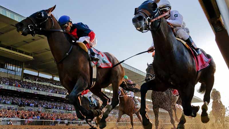 Giải mã thuật ngữ đua ngựa phổ biến trong cá cược quốc tế