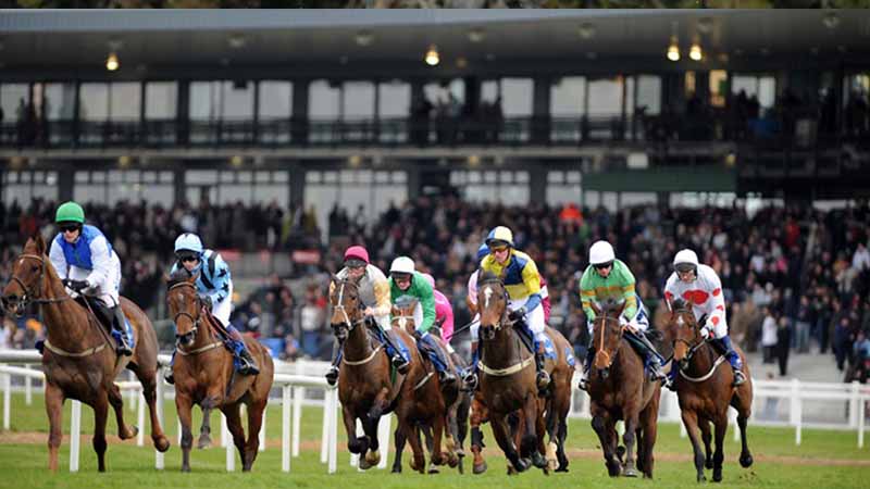 Giải mã thuật ngữ đua ngựa phổ biến trong cá cược quốc tế